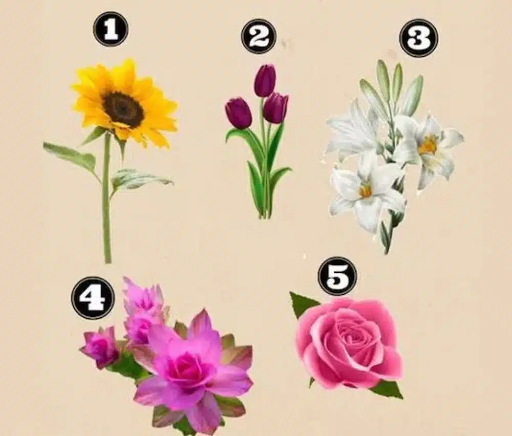 Изберете цвете и разберете какви изненади ви очакват през следващия месец 1